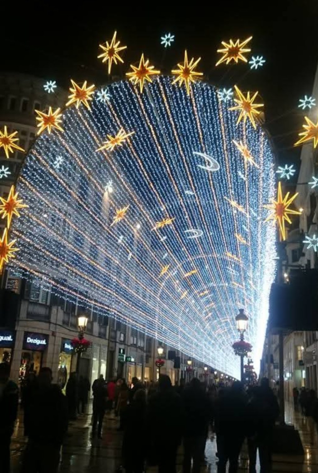 Christmas in Málaga: A Local’s Guide