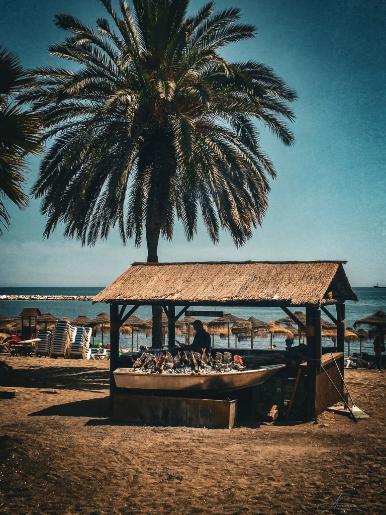 Malaga Chiringuito fish over open fire